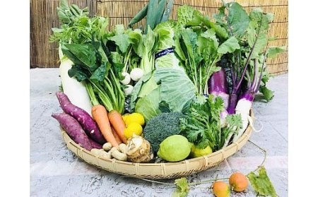 [野菜セット] 産地直送！新鮮とれたて旬の野菜 [3246]
