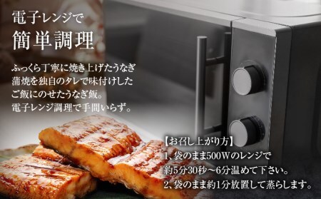 うなぎ うなぎ飯 うなぎ[国産 2個 肝焼き付]