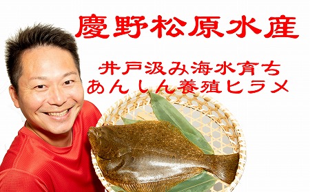 【慶野松原水産】 〈あんしん・あんぜん〉養殖ヒラメ刺身