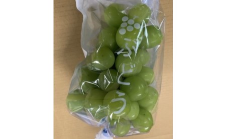 ぶどう シャインマスカット 2房 ゴルビー 2房 食べ比べ 約2kg 配送不可 離島 果物類 フルーツ 果物 