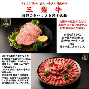秋田産特選肉セット 3人前【肉の高長】[B7-1601]