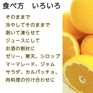 【訳あり】 河内晩柑 （愛南ゴールド）5kg 木取り完熟 樹齢25年 吉本農園 柑橘 みかん 愛南ゴールド 蜜柑 グレープフルーツ ゼリー ジュース アイス 果物 フルーツ サイズミックス 規格外 愛媛県 愛南町