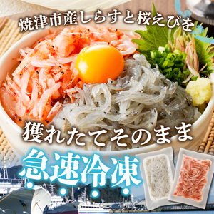 a30-221　【定期便 3回】 焼津産生しらす(100g×3) 生桜えび(70g×3個)