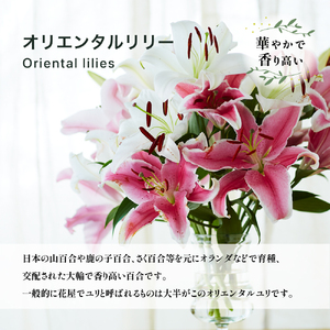 オリエンタルリリー（ユリ）旬のミックス 5本 ユリ 花 ユリの花 百合 ゆり 生花 切花 切り花 【宮路園芸】miyaji-7004