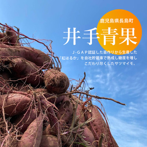 井手青果の熟成紅はるか干し芋 計400g (100g×4袋) 熟成 紅はるか 干し芋 濃厚な甘み【井手青果】ide-7083
