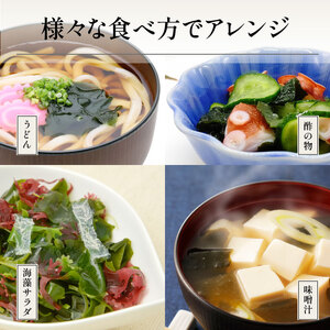 漁師が作った 野菜昆布と湯通し塩蔵わかめセット(計1.1kg)【菊栄丸水産】kiku-7166