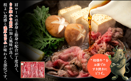 牛肉 すき焼き用 500g 相模牛 牛肉