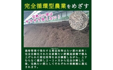 A-082 【県特産品協会理事長賞受賞】金柑大福詰め合わせ(計15個)【さくら農園】霧島市 大福 フルーツ 和菓子 茶請け きんかん 鹿児島
