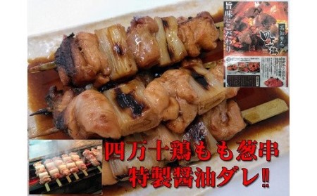 【国産】四万十鶏・二種盛焼き鳥(H10)