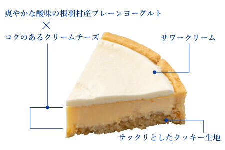 さくさくクッキー生地で大人気！濃厚だけどさっぱり ヨーグルトフロマージュタルト 5号サイズ (約15cm) 