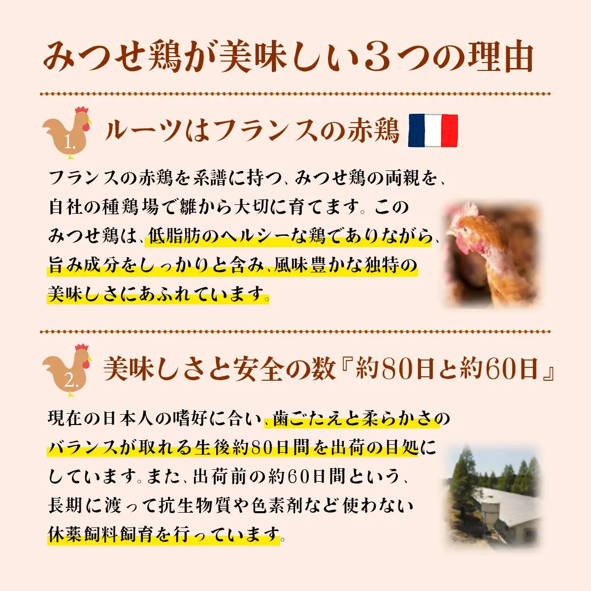 1400g みつせ鶏｢正肉モモ｣ B-964