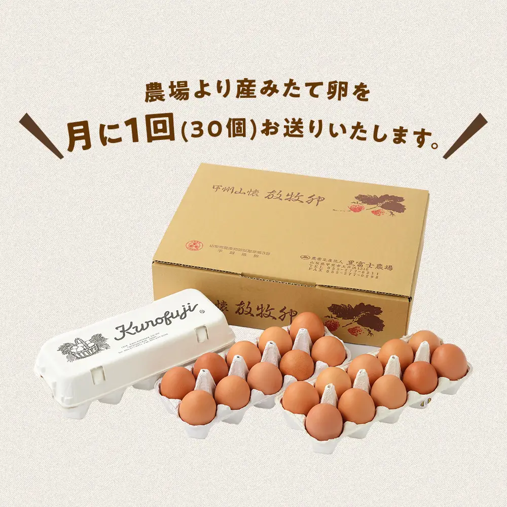 【10ヵ月定期便】放牧卵30個×10ヶ月 卵定期便 山梨県 甲斐市 B-20