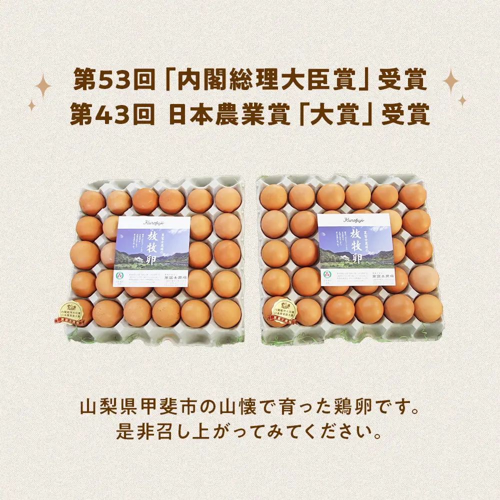 黒富士農場の放牧卵たっぷり60個セット 業務用 卵 山梨県 甲斐市 B-29