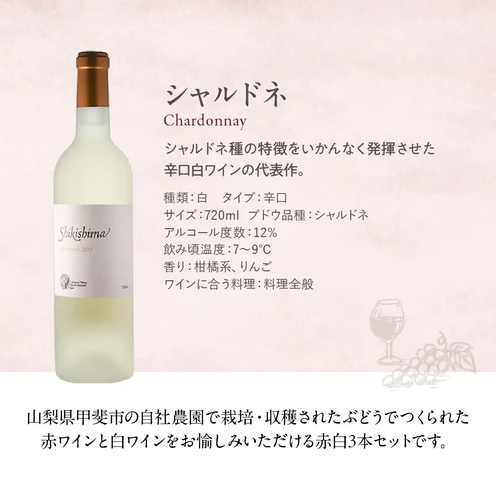 特選3本セット【メルロー & シャルドネ & 甲州シュール・リー】 720ml×3本 敷島醸造 ワイン 赤ワイン 白ワイン わいん シャルドネ ワインセット 辛口 日本ワイン 国産ワイン ギフト お祝い 飲み比べ 山梨 甲斐市 F-20