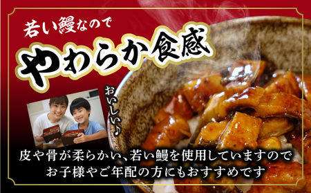 一色産うなぎキザミ(50g×6パック)セット・I041-12
