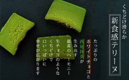 西尾抹茶のテリーヌ　濃厚抹茶スイーツ　テリーヌショコラ(500g)・A165-13-1