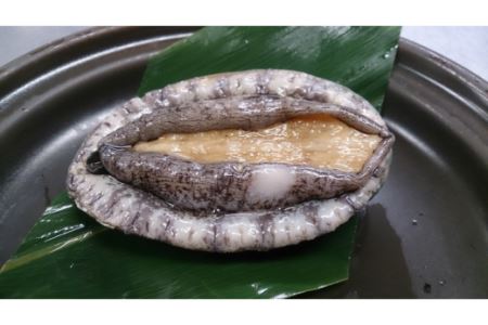 浜辺の宿「旅館やまと」鮑付平日限定ペア宿泊券　・Y013-80