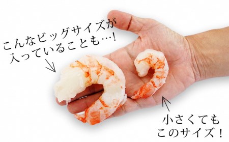 特大天然むきエビ(背ワタ処理済み)1.1kg《配達不可エリア：北海道・沖縄・離島》・K131-12