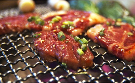 プレミアム熊野牛 焼肉 ４８０ｇ【kbs005】