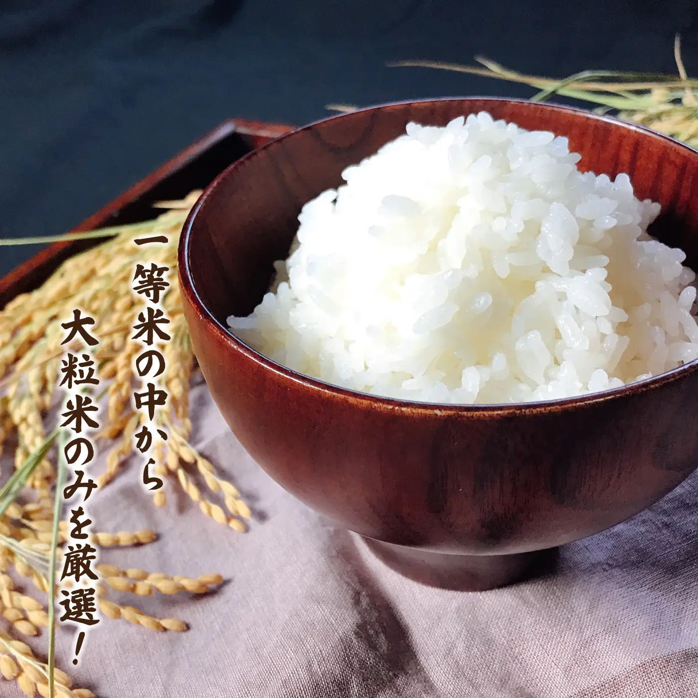 令和7年産邑南町瑞穂産コシヒカリ10kg（5kg×2）