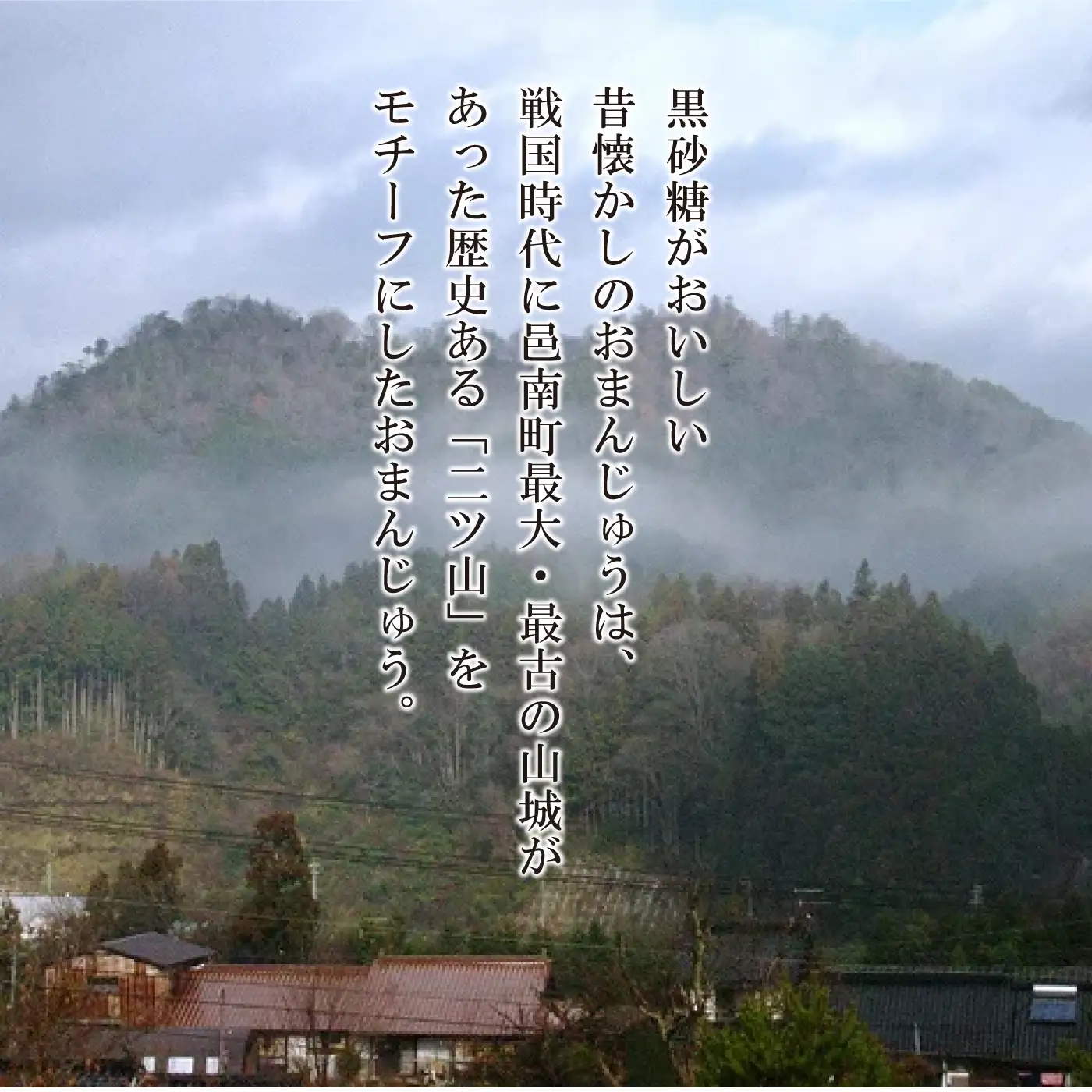 本格杵つき餅（白・よもぎ）と二ツ山まんじゅうのセット