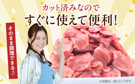 豚肉 宮崎県産 ヒレ 3kg 豚肉[とんかつ 500g×6P]
