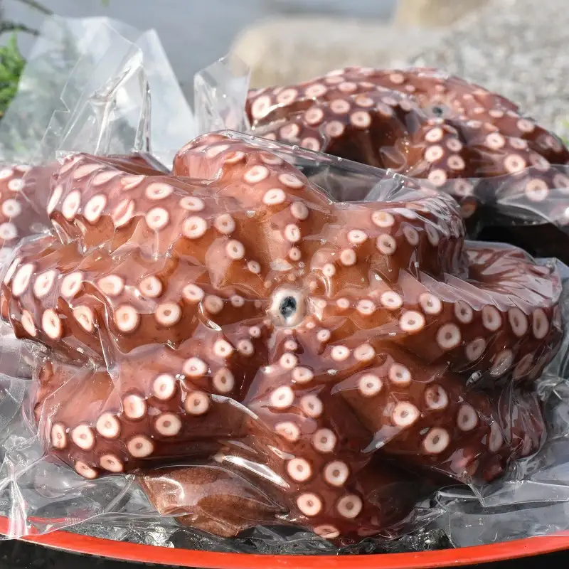 船上活締め！！ゆで真ダコ丸ごと(1~4匹) | 豊後高田市 タコ 蛸 たこ