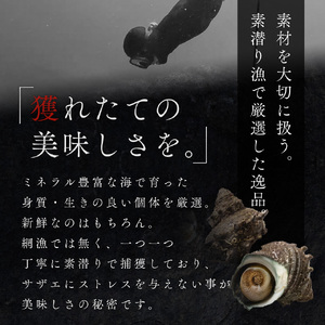 活さざえ 約2kg セット 詰め合わせ 若狭湾産 活 さざえ サザエ 貝 貝類 魚介 魚介類 海鮮 海鮮セット 新鮮 福井 福井県 若狭町