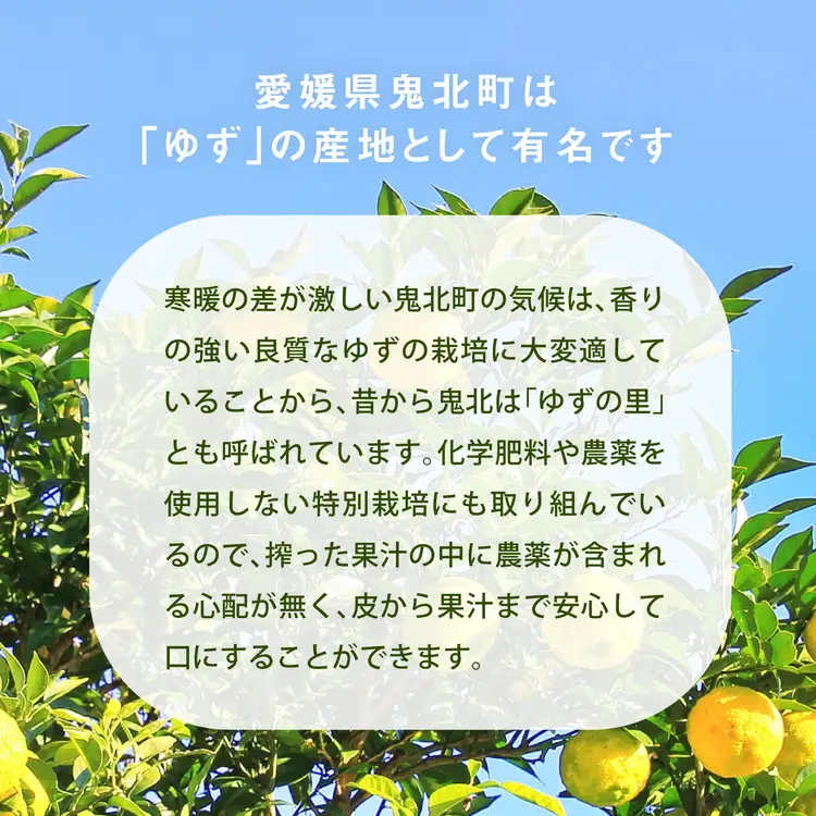 高田商店「ゆずゆずセット」A　＜柚子 ゆず ユズ 調味料 醤油 しょうゆ  酢 ポン酢 ゼリー  老舗 愛媛県 鬼北町＞