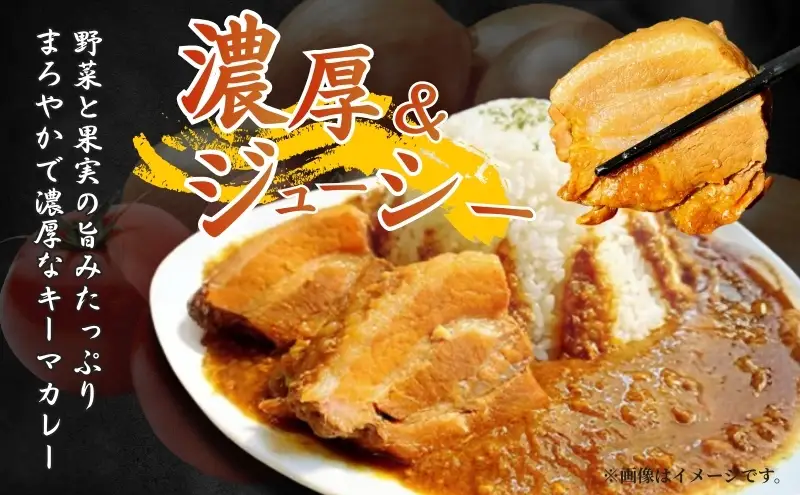 富士山角煮キーマカレー5食セット 加工品 惣菜 冷凍 