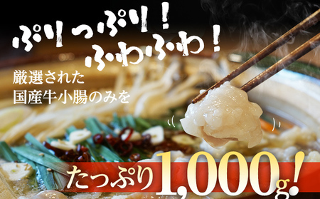 もつ鍋 計1kg 国産 味噌もつ鍋