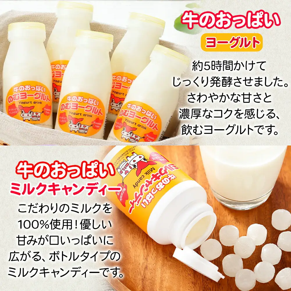 784.牛のおっぱいミルク 5本 コーヒーミルク5本 のむヨーグルト5本 計15本 おっぱいミルクキャンディー1個 セット 牛乳 生乳 ミルク 牛 酪農 飲料 しぼりたて 珈琲 ヨーグルト 飴 お取り寄せ ギフト gift 渡辺体験牧場 まとめ買い 北海道 弟子屈町