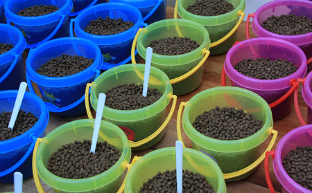 醒井養鱒場　わくわく体験クーポン（ペア） 体験チケット 