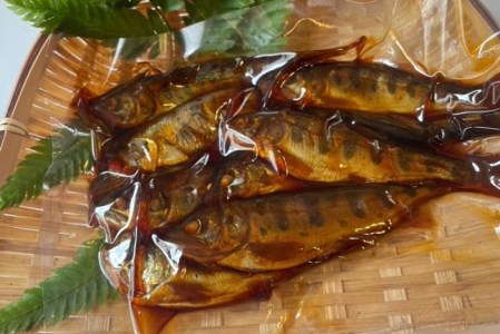 AU3　宍粟サーモンとあまごの詰め合わせセット 【 淡水 サーモン 鮭 アマゴ 魚 西京焼き 甘露煮 贈り物 プレゼント 】