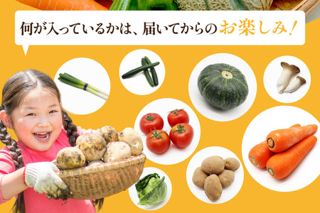 BF059 【12回定期便】旬の 野菜 フルーツ 12～14品目 卵 6個 おまかせ セット [ 長崎県 島原市 ]