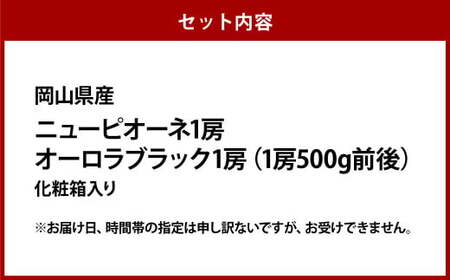 ニュー ピオーネ 1房・オーロラブラック 1房（1房 500g前後）【2026年8月下旬～9月下旬 発送予定】【産地直送 岡山県産 国産 ニューピオーネ ブドウ 葡萄 ぶどう 果物 ギフト たけまさぶどう園 人気フルーツ 岡山フルーツ おすすめフルーツ 岡山県 倉敷市 おすすめ 人気】