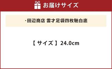 雲才足袋四枚馳白底【24.0cm】