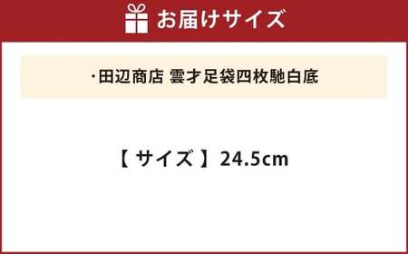 雲才足袋四枚馳白底【24.5cm】
