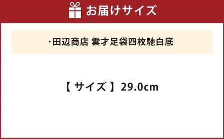 雲才足袋四枚馳白底【29.0cm】