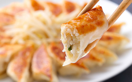 浜松餃子のまっちゃん餃子にんにく少なめ餃子40ヶ入り×3袋　計120ヶセット【配送不可：沖縄県・離島】 加工品 惣菜 冷凍 ぎょうざ 