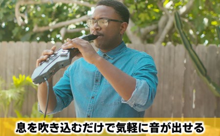 電気 管楽器 ウインドシンセサイザー Aerophone GO Roland 電気管楽器