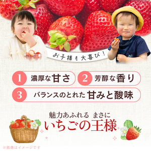 【2026年12月以降お届け】あまおうギフト箱（24-30粒）_予約受付 あまおう ギフト 箱 24 ～ 30粒 くるっぱオマケシール付き 国産 福岡県産 ブランドいちご いちごの王様 アフター保証 食べ方いろいろ 甘い 果物 フルーツ ストロベリー いちご お取り寄せ スイーツ デザート 贈り物 福岡県 久留米市 送料無料 〔Fi017〕