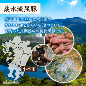 【厳選ブランド黒豚】”黒豚からいもどん”ヒレ 500g（国産 豚肉 小分け 黒豚 ヒレ ステーキ とんかつ ヒレカツ 希少部位 宮崎 小林市 人気 冷凍 ヒレ 牛ヒレ肉 ヒレ 牛ヒレ肉 ヒレ )