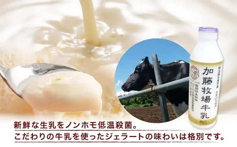 【加藤牧場】ノンホモ低温殺菌牛乳使用 ジェラート 18個入り アイス 氷 夏 暑い 猛暑 フレーバー 濃厚 さっぱり 人気 ご当地 スイーツ お菓子 食後 デザート 氷菓 牛乳 さっぱり コク お取り寄せ 加藤牧場 埼玉県 日高市