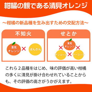 G7066_【2027年先行予約】とにかくジューシー 清見 オレンジ 5kg