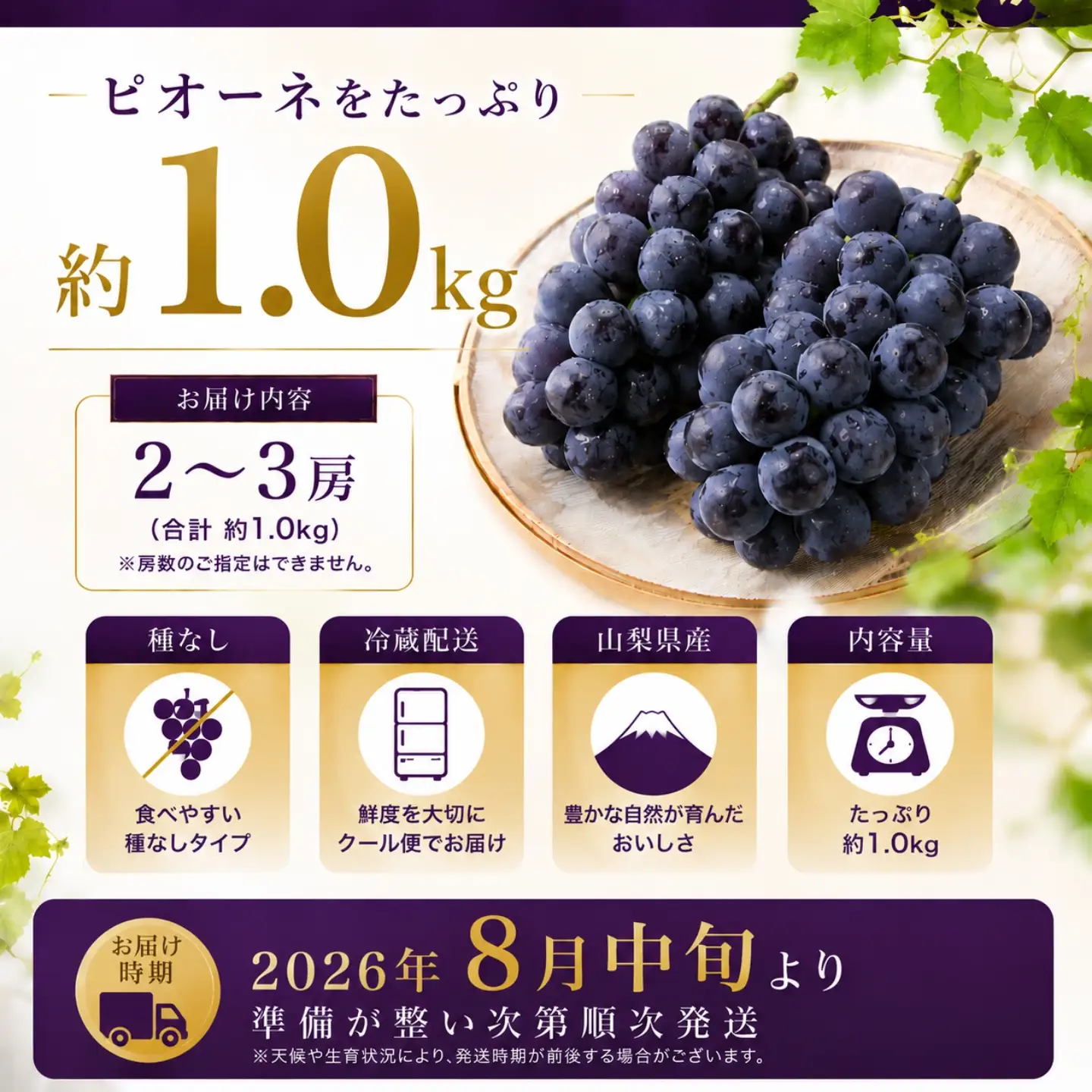 山梨県産　種なしピオーネ2～3房(約1.0Kg）　【2026年発送】ピオーネ