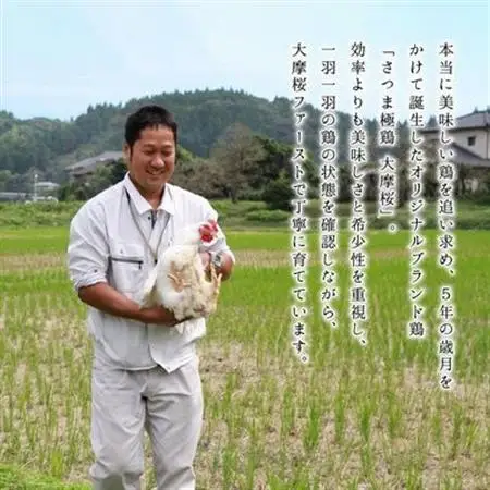 「さつま極鶏大摩桜」自家製炭火焼8Pセット【配送不可地域：離島】【1185948】
