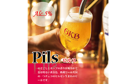 御殿場高原ビール箱入り3缶2箱セット お酒 地ビール 