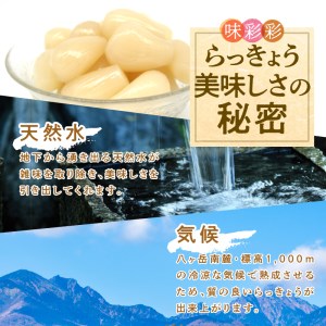 味彩彩　国産無添加　らっきょう　130g×5袋 [h138]