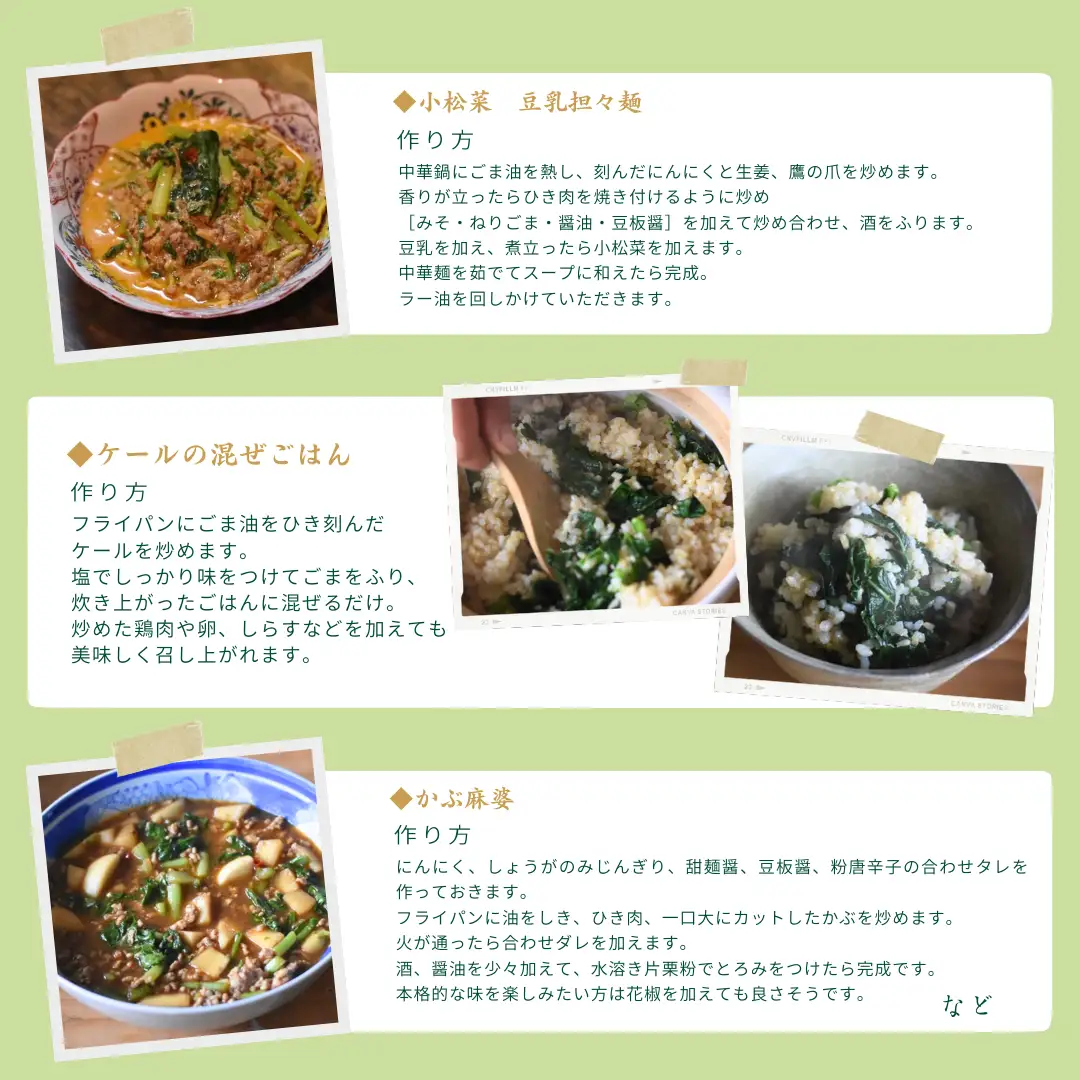 【先行受付】有機野菜ちいさな畑セット（Mサイズ　２～３人前）［NK-101］